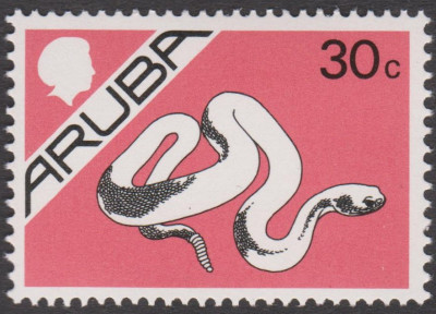 klapperschlange.jpg