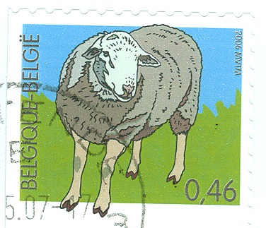 Belgien 2006 Schaf.jpg