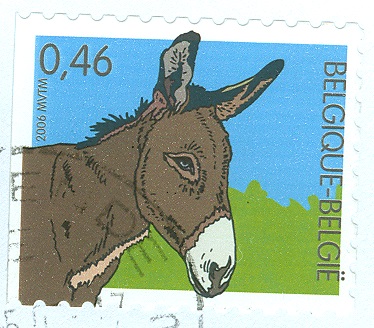 Belgien 2006 Esel.jpg