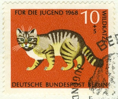 WildKatze 1968-1.jpg