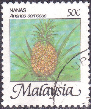 ananas2.jpg
