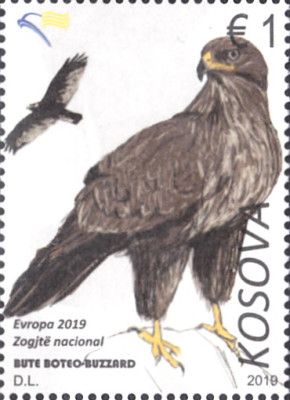 mäusebussard0.jpg