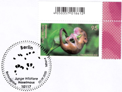 haselmaus3.jpg