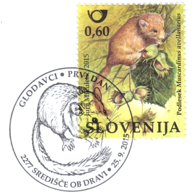 haselmaus4.png