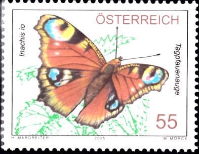 tagfauenauge1.jpg