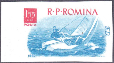 pinne4.jpg