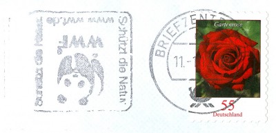 EF Gartenrose BZ20.jpg