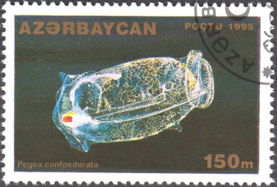 010.jpg