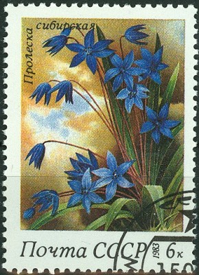 CCCP 1983 - 6 Kop Scilla sibirica.jpg