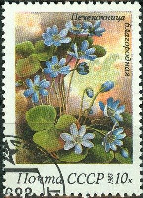 CCCP 1983 - 10 Kop.jpg