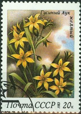 CCCP 1983 - 20 Kop.jpg