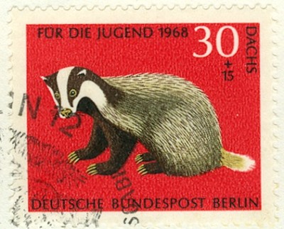 Dachs 1968-1.jpg
