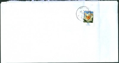 EF Narzisse 2014 -1.jpg