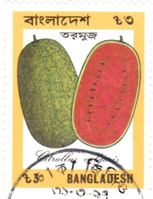 wassermelone.jpg