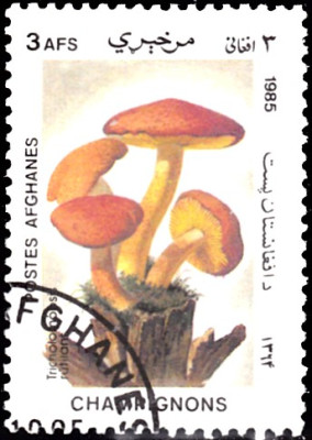 20201024.jpg