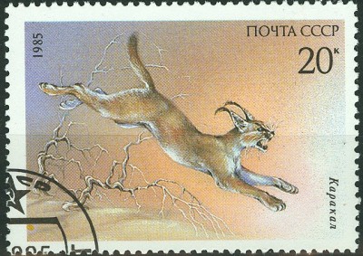 CCCP 1985 Karakal 20 Kop.jpg