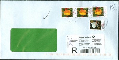 MiFr  mt Prachtkerze - 1 MiNr 2484 A.jpg