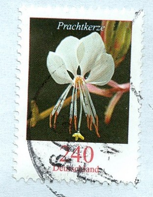 MiFr mt Prachtkerze - 2 MiNr. 2969.jpg