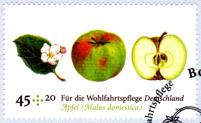 Obst_0001.jpg