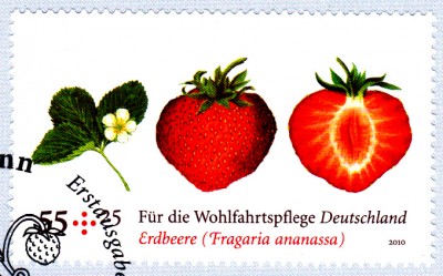 Obst_0002.jpg