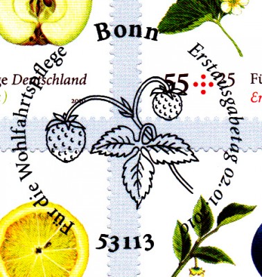 Obst_0002a.jpg