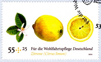 Obst_0003.jpg