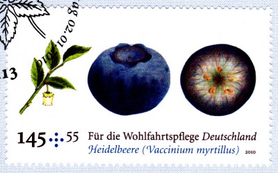 Obst_0004.jpg