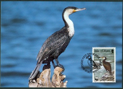 Isle of Man 1989 Vogel - 6.jpg