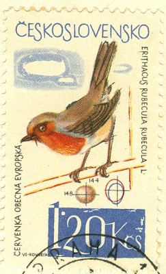 CSSR 1964 Rotkehlchen -3.jpg