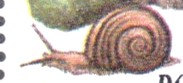 schnecke.jpg