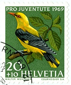 Schweiz 1969 pro Juventute Pirol.jpg