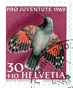 Schweiz 1969 pro Juventute Mauerläufer.jpg