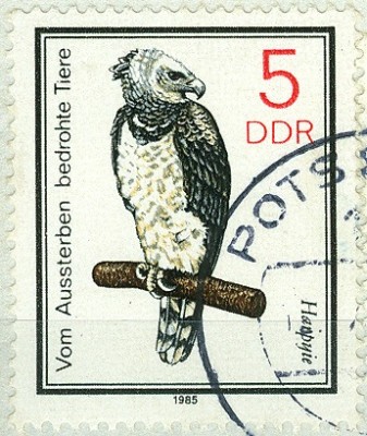 DDR 1985 MiNr. 2952 Harpyie.jpg