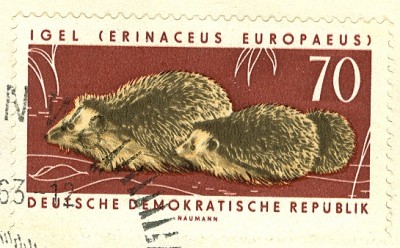 DDR 1963 MiNr. 982 Igel.jpg