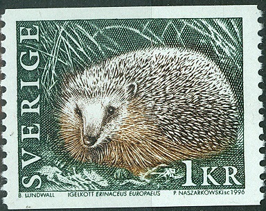 Schweden 1996 Igel Erinaceus europaeus.jpg