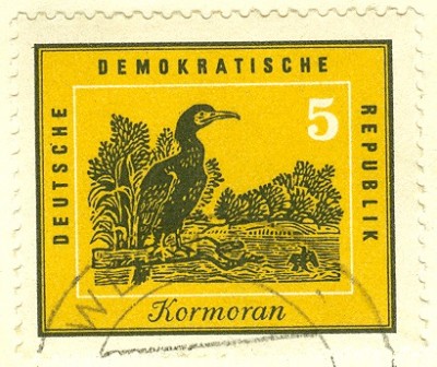 DDR 1959 Kormoran MiNr. 698 - 1.jpg