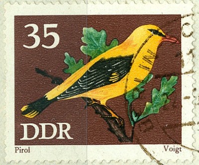 DDR 1973 MiNr.1839 Pirol.jpg