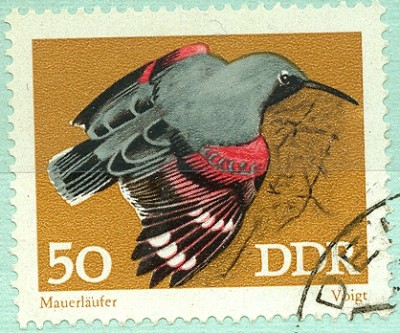 DDR1873 MiNr. 1841  Mauerläufer.jpg