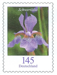 Bund 2006 U28 Blumen 145 postfrisches Exempl-1.jpg