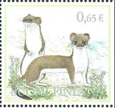 Finnland 2004 Hermelin.jpg