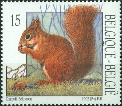 Belgien 1992 Eichhörnchen.jpg