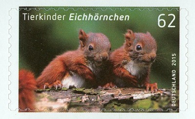 Bund 20145 Eichhörnchen selbstklebend -1.jpg