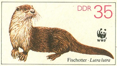 DDR 1987 MiNr. U7 Fischotter Lutra lutra 35.jpg