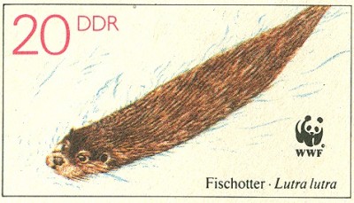 DDR 1987 MiNr. U7 Fischotter Lutra lutra 20.jpg