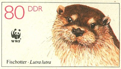 DDR 1987 MiNr. U7 Fischotter Lutra lutra 80.jpg