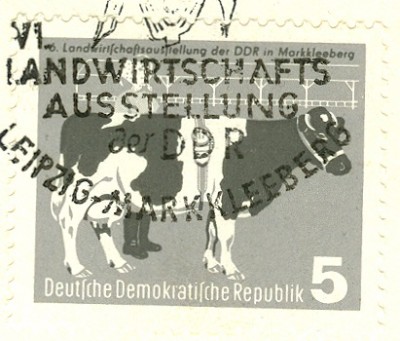 DDR 1958 MiNr. 628 Landwirtschaft Kuh - 1.jpg