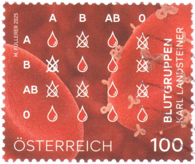 blutgruppen.jpg