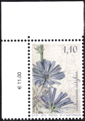 Gemüse_0007.jpg