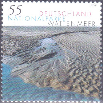 wattenmeer2.jpg