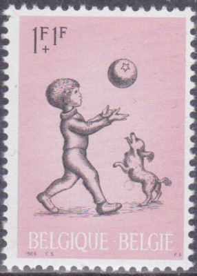 20260226_0002.jpg